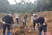 东华摘易广州已打造首批32处“绿美宗教活动场所”