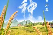 东华摘易芒种节气小知识来了 夏种作物都有什么？