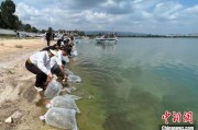 东华摘易云南江川举行增殖放流活动 逾54万尾鱼游入星云湖