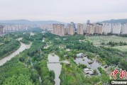 东华摘易西宁市举办六五环境日主题宣传活动